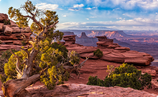 Utah